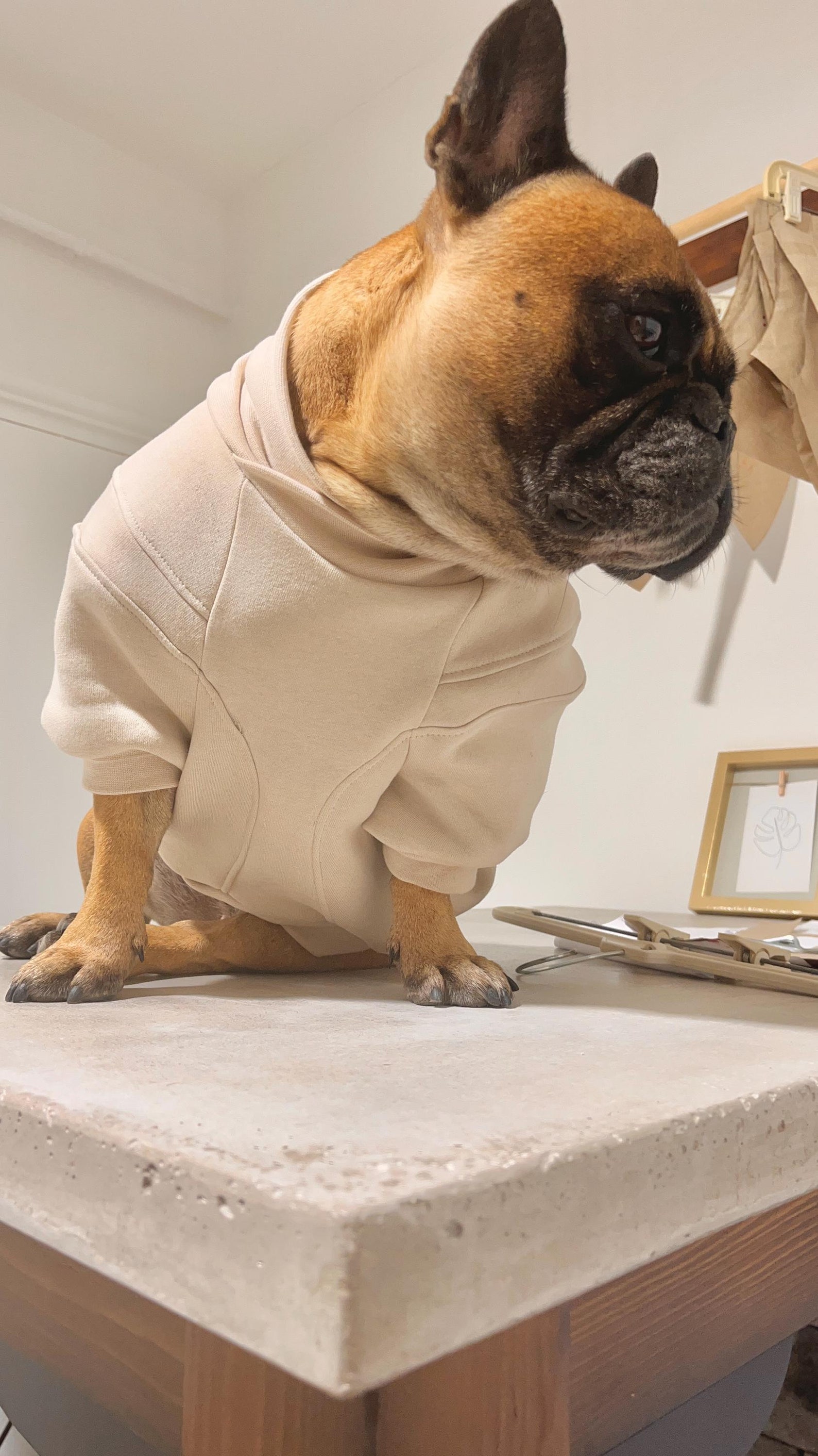 Dog Sweatshirtwarm Dog Clotheshandmade Dog Clothesdog Winter Wearfrench