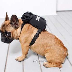 French Bulldog / Dog Backpack Harness by Bestfriendfinds - Etsy