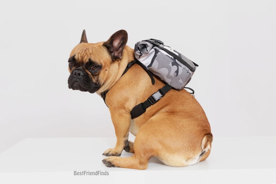 Bulldog top puppy harness