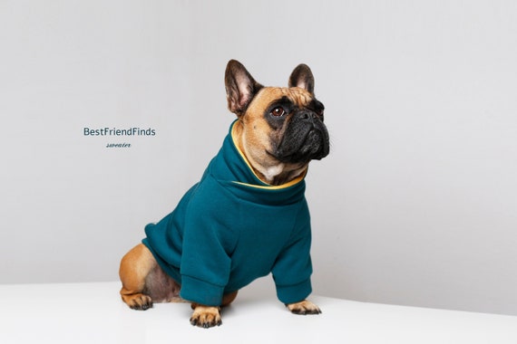 schildpad Glimp Pijnstiller Franse Bulldog kleding / warme hond trui / handgemaakte hond - Etsy  Nederland