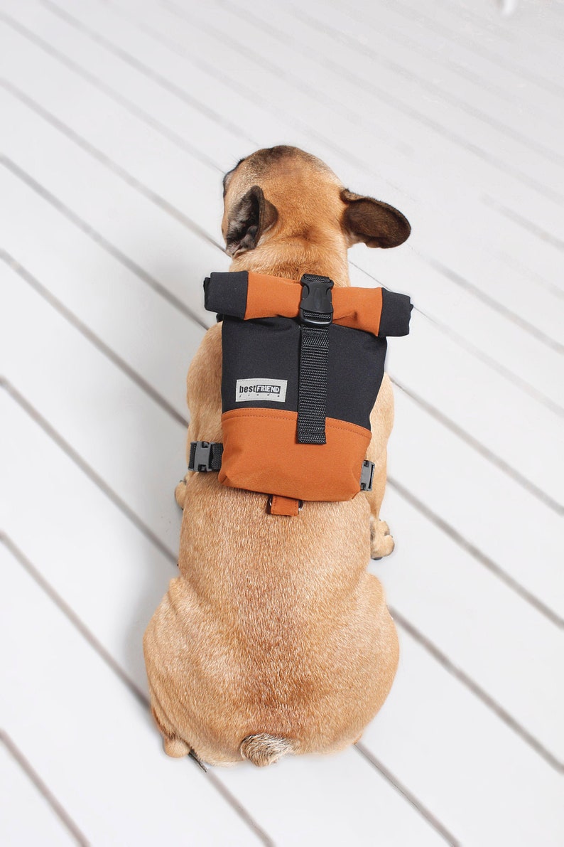 French Bulldog Backpack Harness Snackies Bag Costum Dog Etsy