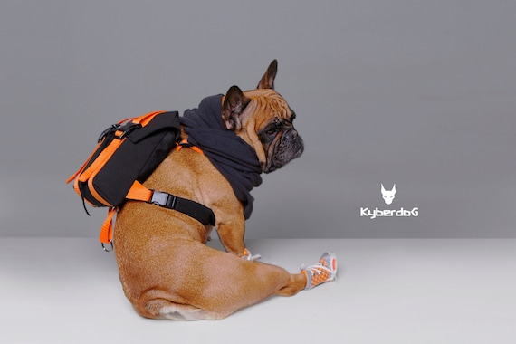 French bulldog backpack harness hotsell