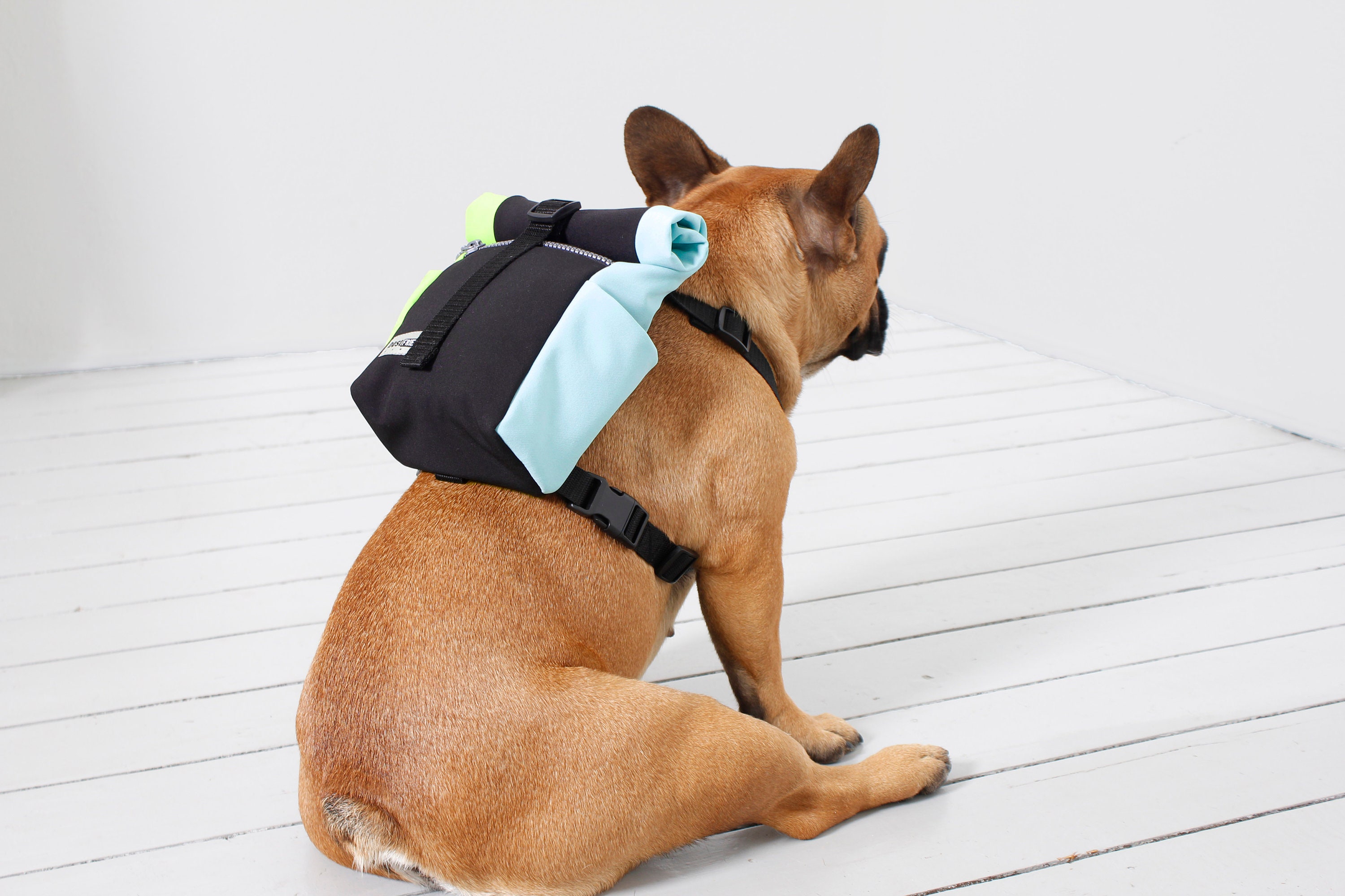French Bulldog Dog Backpack Harness Dog Harness Custom Dog Harness Dog Fashion Harness Puppy Harness Dog Gift by Bestfriendfinds Etsy Australia