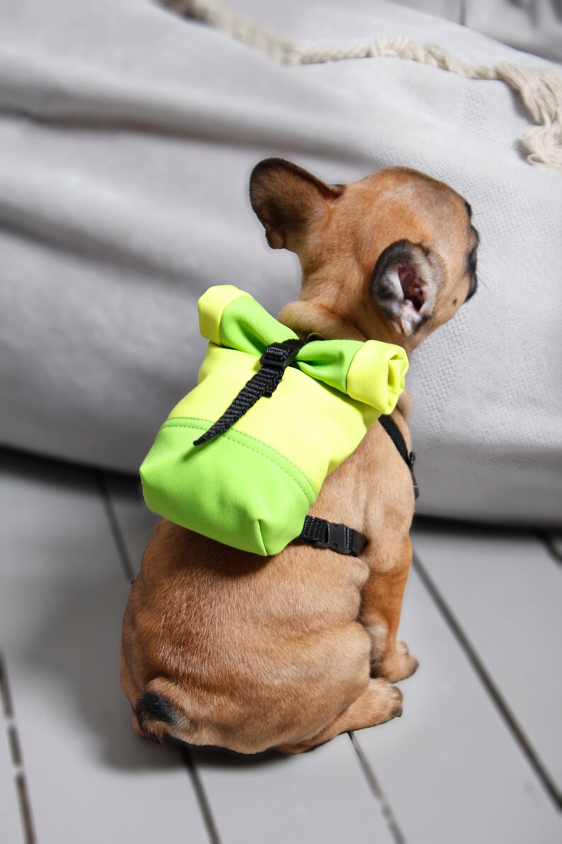 dog fashion harness French bulldog backpack harness french bulldog puppy harness by BestFriendFinds snackies bag costum dog harness