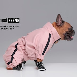 Dog jumpsuits/Dog pants/Frenchie clothes/Velvety touch/Exclusive canine/Premium dog apparel/Sporty pet attire/Stylis dog outfit/Cool dog