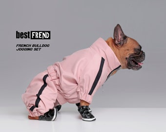 Combinaisons pour chien/Pantalons pour chien/Vêtements frenchie/Toucher velouté/Exclusivité canidés/Vêtements haut de gamme pour chien/Tenue sportive pour animal de compagnie/Tenue Stylis pour chien/Chien cool