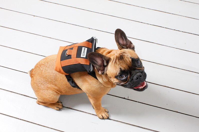 French bulldog / dog backpack harness dog harness custom ...