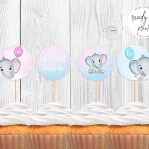 Elephant Baby Gender Reveal Printable Cupcake Toppers, Instant Download image 1