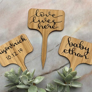 Estacas suculentas - Etiquetas para lembrancinhas de chá de bebê e etiquetas de eventos personalizadas - Configuração para lembrancinhas de casamento - Etiquetas de amor de bambu