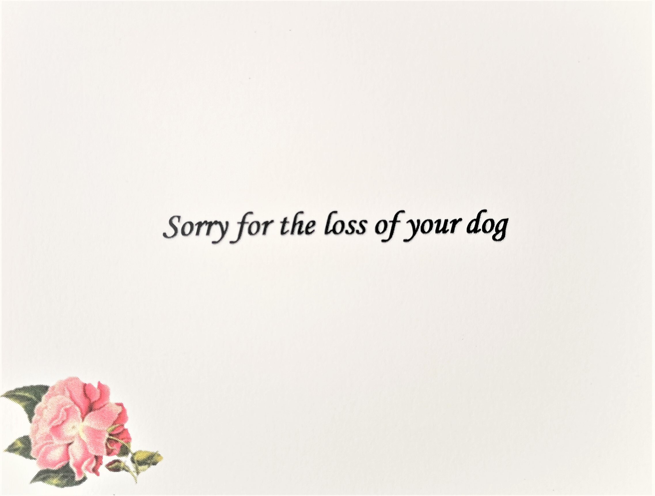 Dog Greeting Card Sorry for the Loss of Your Dog Sympathy Etsy Denmark