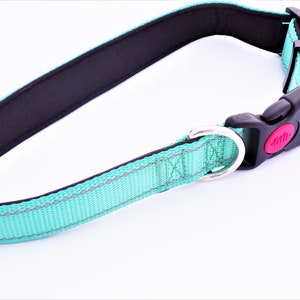 Jack&#39;s Best Dog Collar - Collar de perro reflejado - Medio - Verde azulado - Jack&#39;s Natural Dog Products