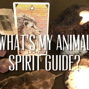 Regalo para padres de mascotas / Tótem animal espiritual / Lector de barajas de cartas de tarot rápido y preciso / Lectura de médium psíquico / Regalo veterinario / Baraja de cartas de Oracle