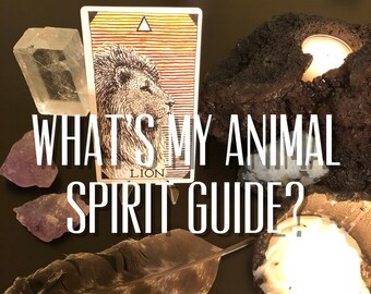 | cadeau pour les parents d’animaux de compagnie Totem d’animaux spirituels | Lecteur de jeu de cartes de tarot rapide et précis | | de lecture médium psychique | cadeau vétérinaire Jeu de cartes Oracle