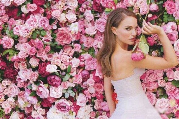 N&T NIETING Fiori Artificiali, Rosa Artificiali 25 Pezzi Schiuma Teste di Rose con Foglia e Gambo Regolabile per DIY Matrimoni Mazzi Nuziale Festa Casa Stanza Decorazioni (Colori Misti Polverosi