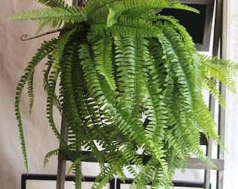 Boston Fern Plant 70cm/27.56&quot;Artificial Simulation Persian Leaves Hanging Basket Greenery,Indoor/Outdoor Hanging Plant