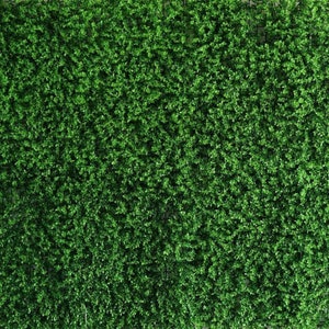 Sfondo per parete in erba artificiale, sfondo per baby shower, sfondo per cabina fotografica, sfondo personalizzato, parete con piante verdi, 40 x 60 cm