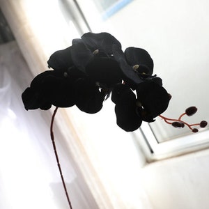 黒の人工蘭の花、フェイクフラワー、ファネロプシス、エキゾチック、トロピカル、特別なイベントのセンターピースアレンジメントフローラル