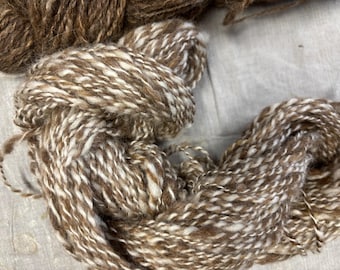 Handspun dark Moorit and white Shetland yarn/2.8 oz, 106 yards.