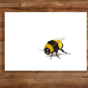 Bumble