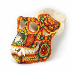 Hyperrealistischer Gorillaschädel Huichol Art Watakame in Originalgröße – 12 Zoll – Mexikanische Kunst