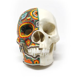 Hyperrealistischer menschlicher Schädel, Huichol-Kunst, Xapawiyemeta in Originalgröße – 20 cm – mexikanische Kunst