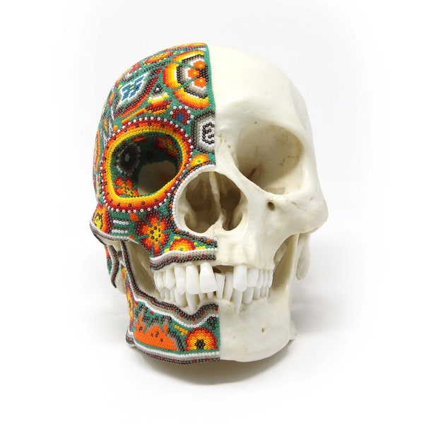 Huichol Art Hyperrealistic Human Cranium real scale Xapawiyemeta