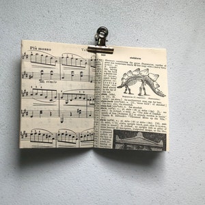 May include: A small, open book clipped with a silver binder clip. The left page features musical notes and the text "Pi&ugrave; mosso" and "simile." The right page displays dictionary text and a Stegosaurus illustration.