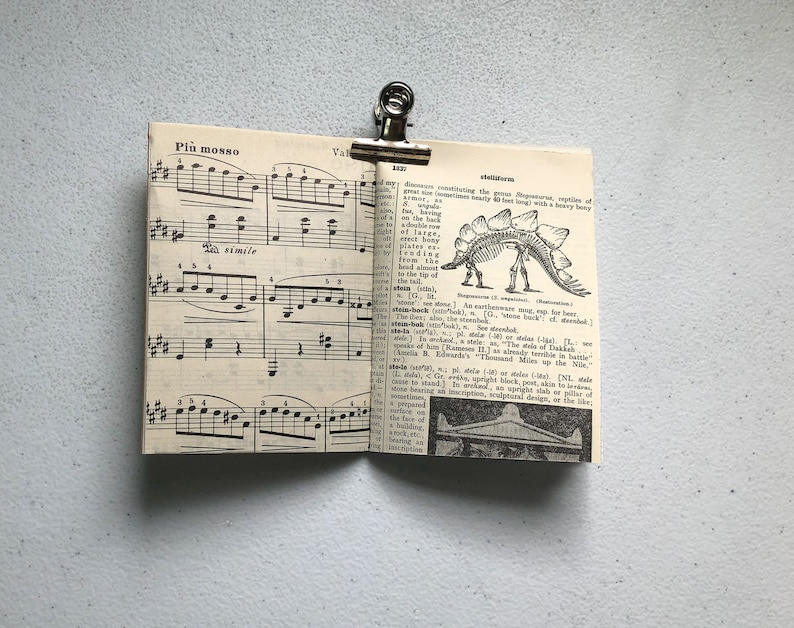 May include: A small, open book clipped with a silver binder clip. The left page features musical notes and the text "Pi&ugrave; mosso" and "simile." The right page displays dictionary text and a Stegosaurus illustration.