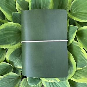 Puede incluir: Un diario de cuero verde oscuro con un cierre de banda elástica blanca. El diario rectangular descansa sobre un lecho de hojas verdes y amarillas. Las hojas tienen una textura suave y un aspecto natural.