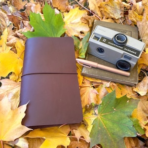 May include: A brown leather journal with a pen and a vintage Hawkeye Instamatic II camera rest on a stack of books, surrounded by autumn leaves. The camera is gray with black details. The pen is a light pink color.