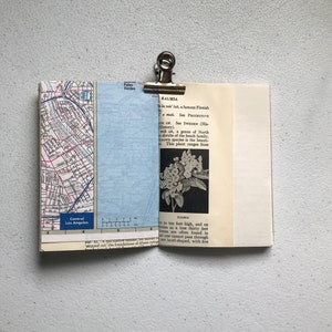 May include: Open book with pages displaying a map of Central Los Angeles and text. The book is held open with a silver clip. The text includes the word "KALMIA" and a description of the plant.