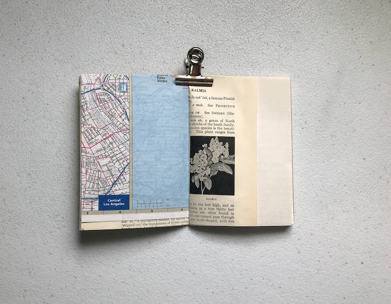 May include: Open book with pages displaying a map of Central Los Angeles and text. The book is held open with a silver clip. The text includes the word "KALMIA" and a description of the plant.