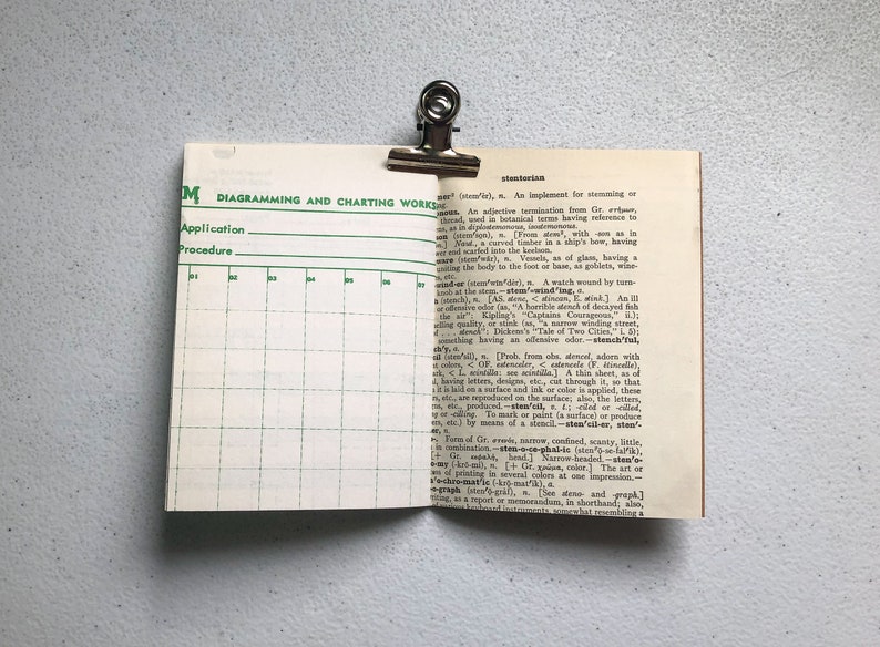 May include: An open book with a page featuring a green and white diagram and the other page with dictionary text. A silver binder clip holds the pages together. The book is on a light gray surface.