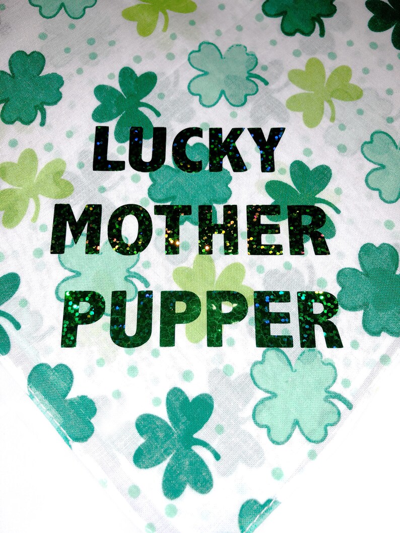 Cute Bandana Patrick/'s Day Dog Bandana CUSTOM St Pet Bandana Funny Bandana Sassy Bandana Lucky Mother Pupper