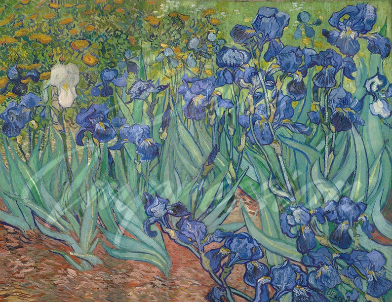 Irises by Van Gogh Wallpaper large iris wallpaper mural | Etsy