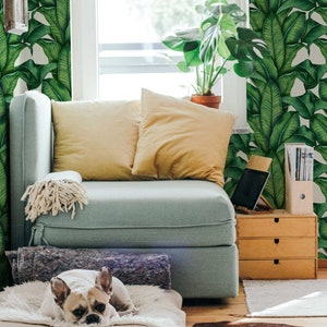 Green Leaf    | Green Leaf   Removable Wallpaper | Peel and Stick |  #14FC