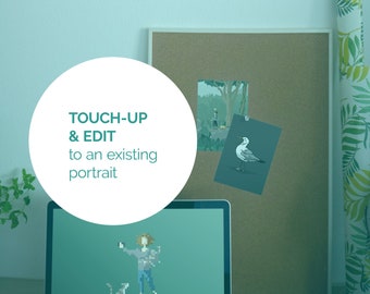 Touch-up & Edit Add-on