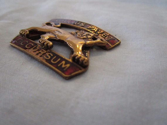 Military Coat of Arms 7th ADA Nullius Pavet Occursum Pinback Unit Insignia