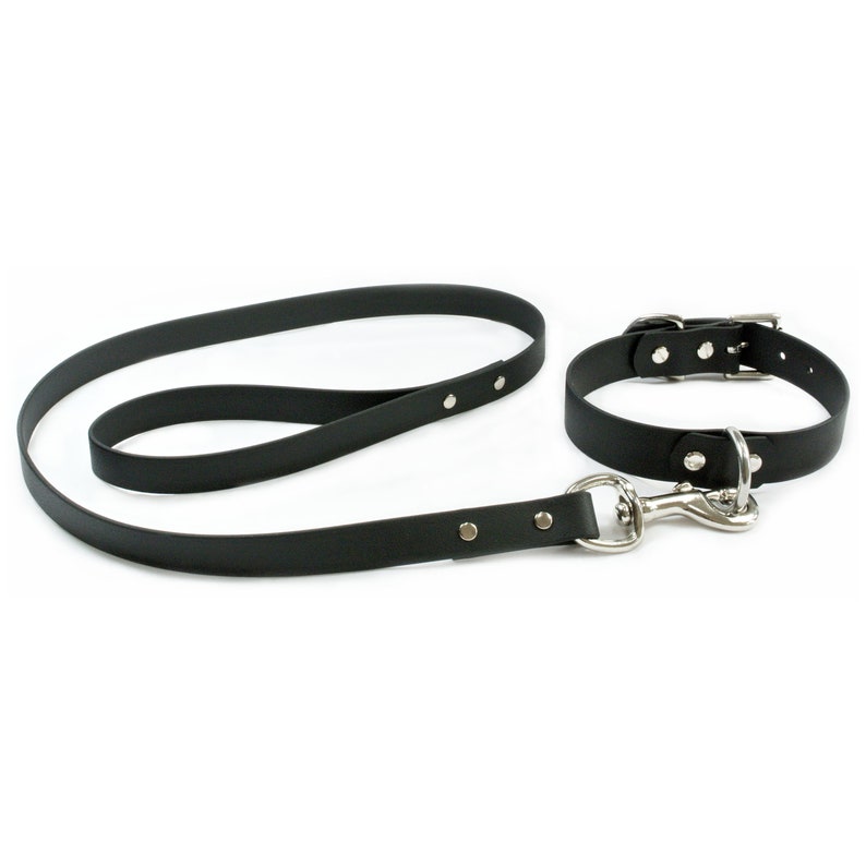 leash Slave collar