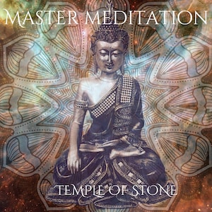 Master Meditation Ebook Download digitale Impara a meditare Guida passo passo Guida da principiante a meditazione avanzata Suggerimenti e trucchi