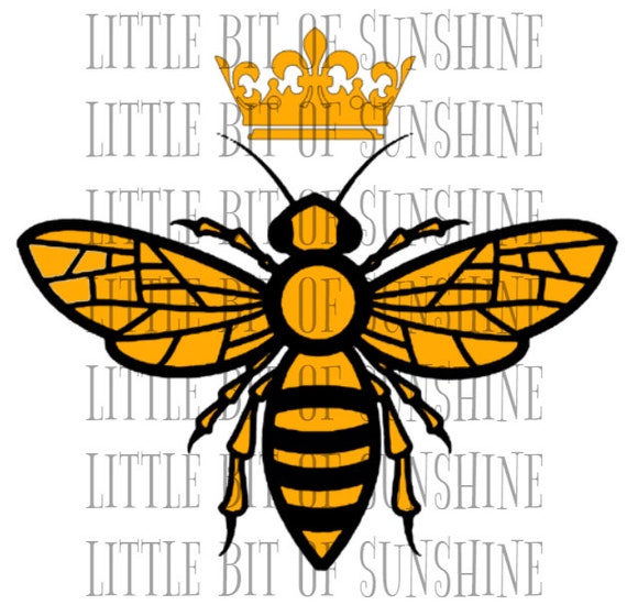 Download Queen Bee Svg Png Dxf Silhouette Cut File Cricut Cut Etsy