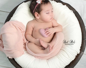 DaMohony Photography Accessory Set for Newborns Pillow Baby Posing Aid Pillow Beans Photo Posing for 1-3 Months 6pcs Carrot