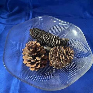 May include: A clear glass bowl with a leaf design, filled with three pine cones. The pine cones are brown and have a natural texture.