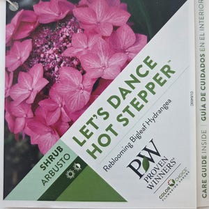 May include: A close-up of a pink flowering shrub labeled "LET'S DANCE HOT STEPPER". The image shows vibrant pink blooms with a darker pink center. The label also indicates it is a reblooming Bigleaf Hydrangea.
