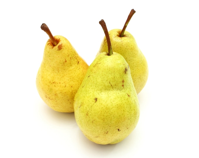 Bartlett Pear Tree, 45 FT, Semi Dwarf Size. Etsy