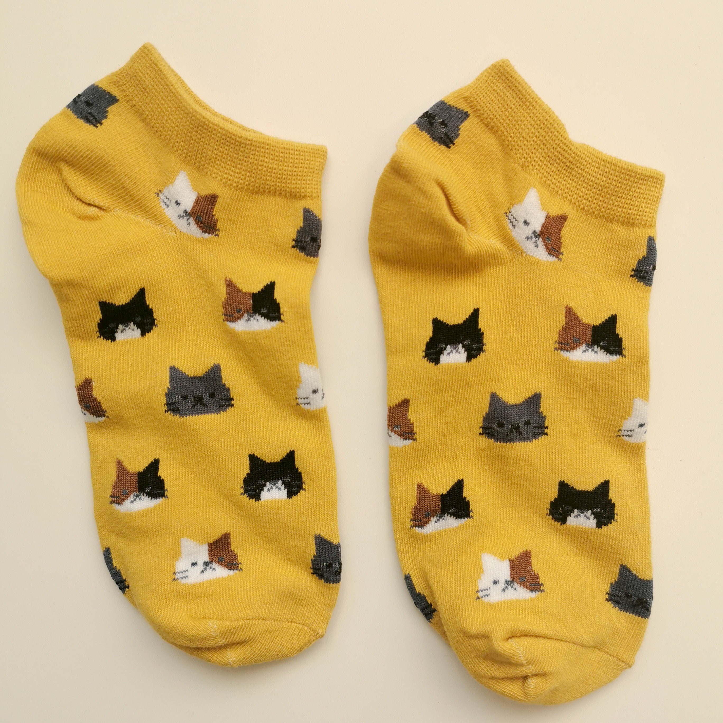 cat trainer socks