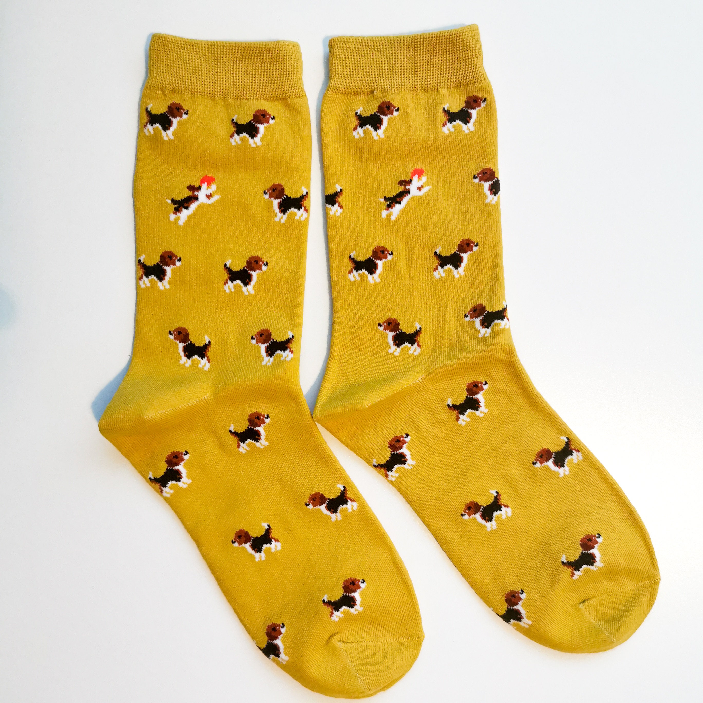 Beagle Unisex Socks | Adult UK Size 4-8.5 Dogs & Dog Lovers