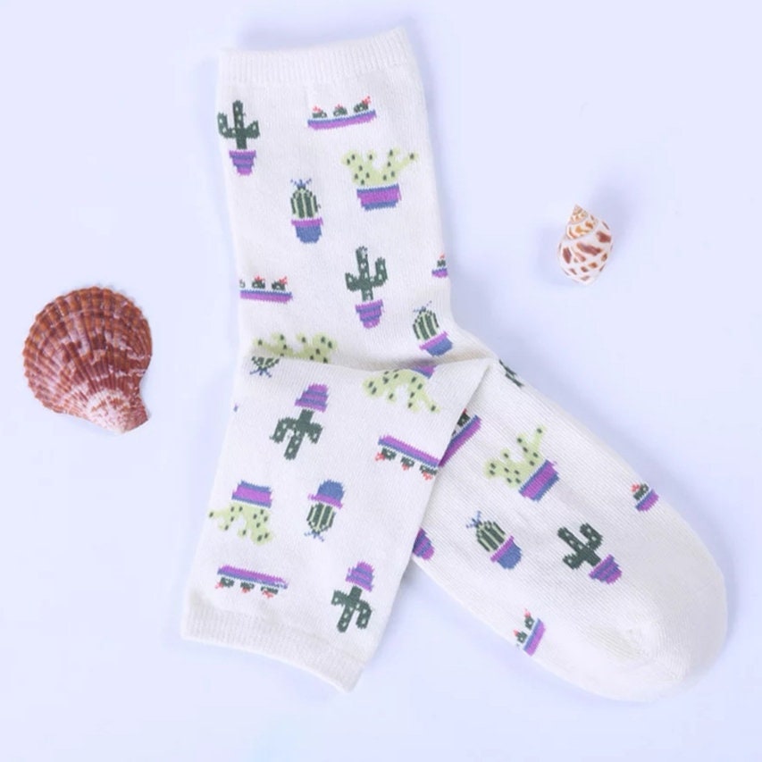 Catcus Socks House Plants Catci Bonsai Cactus Colourful | Etsy