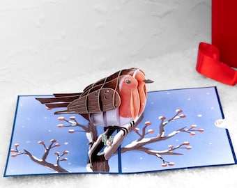 Pop Up Karte Rotkehlchen im Winter - 3D Weihnachtskarte & Geburtstagskarte mit Vogelmotiv für Frau, Mama, Freundin - ideal für Geldgeschenk