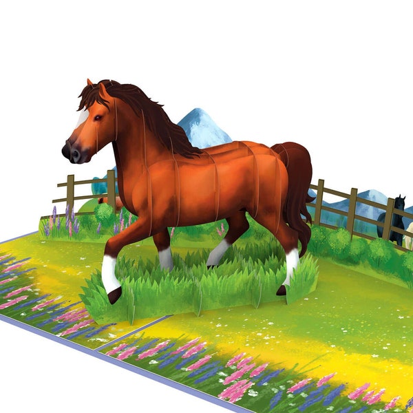 Pop Up Card Horse - Carte d'anniversaire 3D avec cheval pour femmes et filles, bon d'achat ou emballage pour un cadeau en argent pour cavaliers et cavaliers